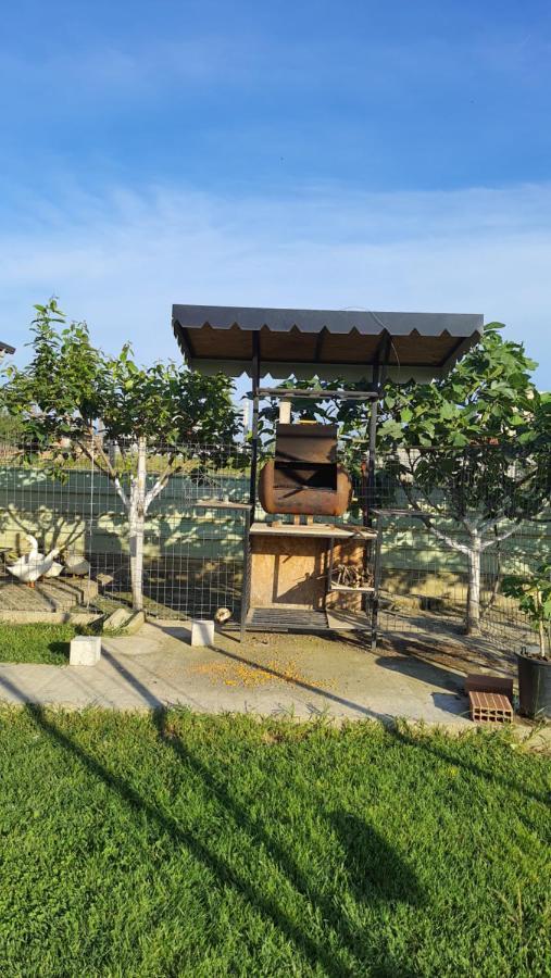 Room With Private Garden Shkodër Exterior foto